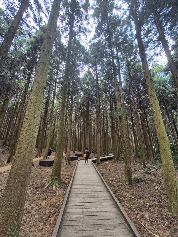 Saryeoni Forest Path Red Ascension Entrance 5