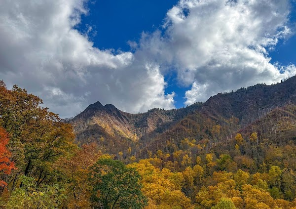 Chimney Tops