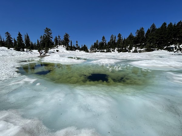 Mount Seymour Trail
