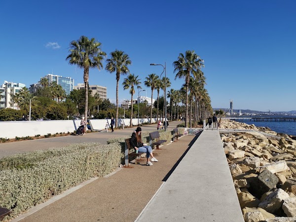 Old Port 2