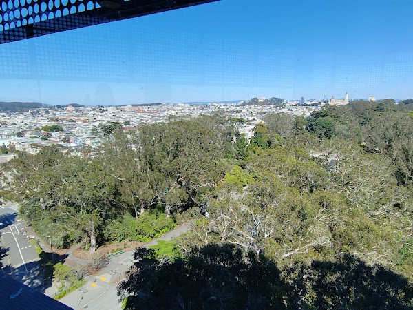 Hamon Observation Tower 5