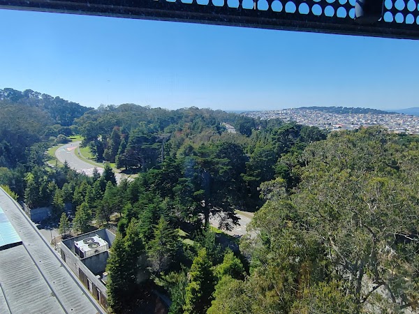 Hamon Observation Tower 3