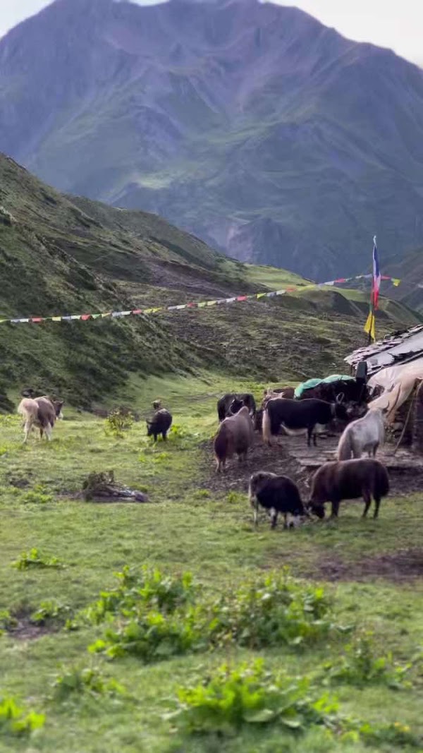 Tibet 16