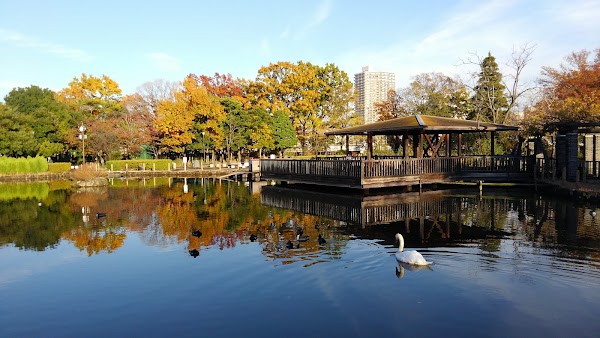 Arakawa Nature Park 5