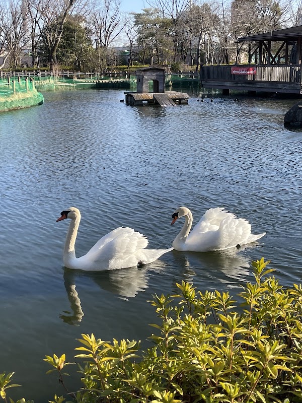 Arakawa Nature Park 4