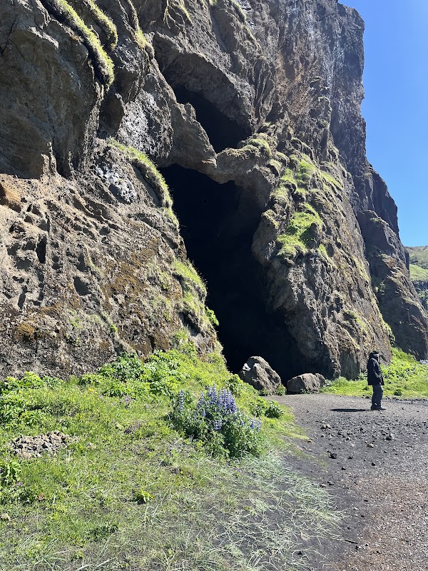 Viking Park Iceland 5