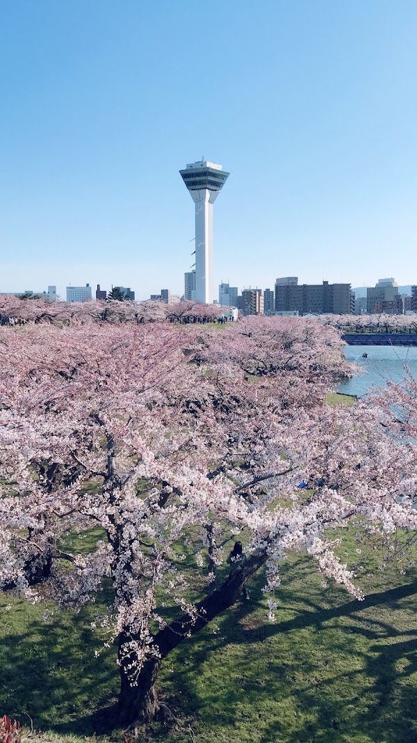 Hakodate 5