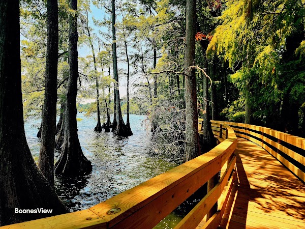 Reelfoot Lake State Park
