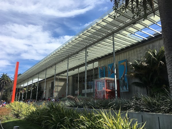 California Academy of Sciences 4
