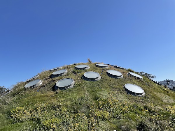 California Academy of Sciences 3