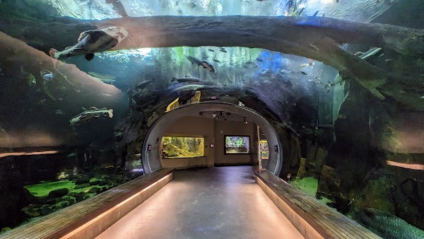 California Academy of Sciences 2