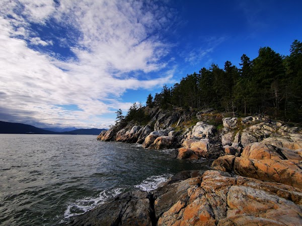 Lighthouse Park | West Vancouver 3