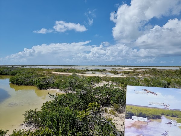 Anegada 1