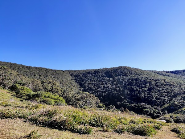 Burning Palms Beach 3