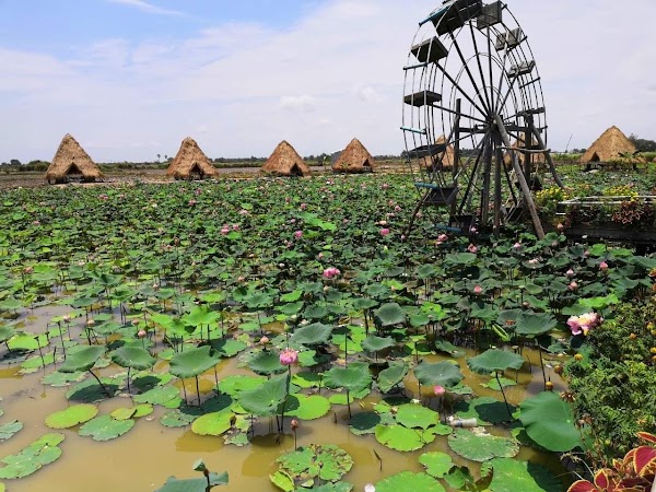 Lotus Silk Farm
