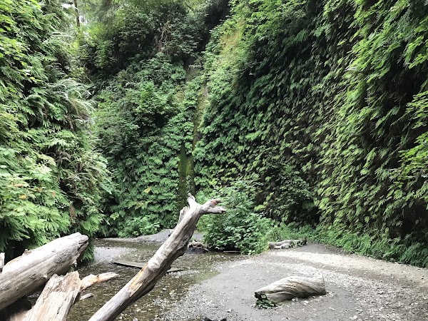 Fern Canyon 5