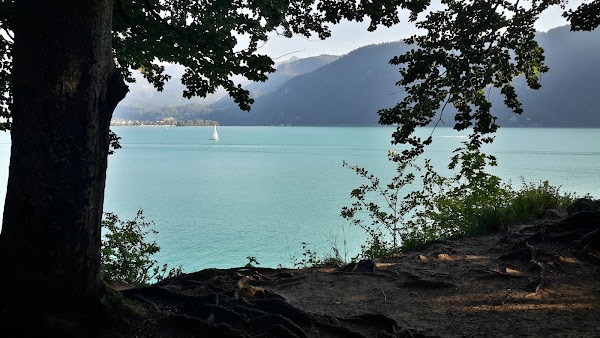 Fürberg/Wolfgangsee - St.Wolfgang im Salzk. Schafbergbf