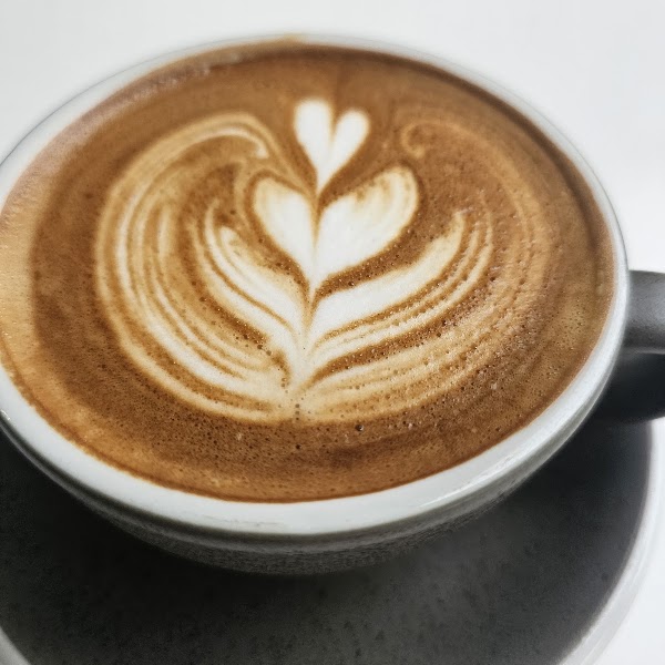 MORON CAFE 2