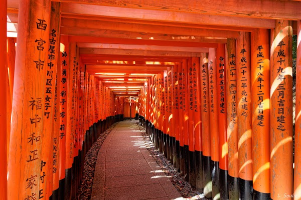 Fushimi Inari Taisha 5