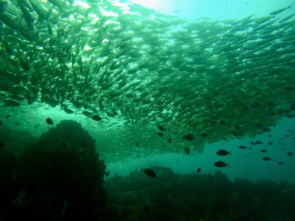 Chumphon Pinnacle 3