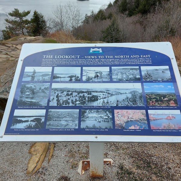 Lions Lookout 3