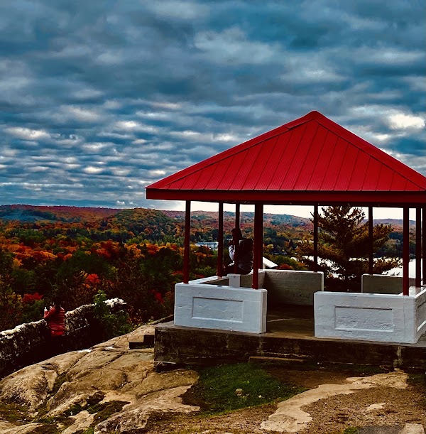 Lions Lookout 2
