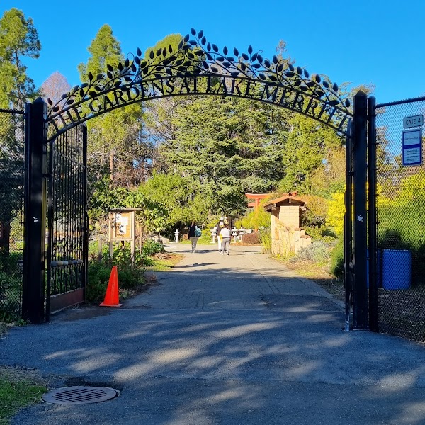 The Gardens at Lake Merritt 1