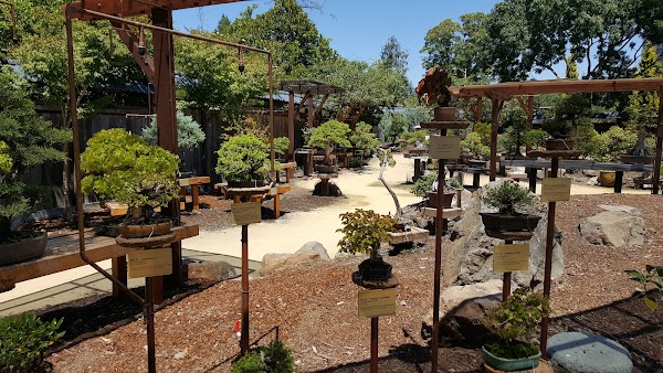 The Gardens at Lake Merritt 5