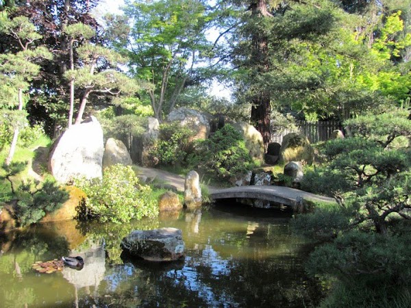 The Gardens at Lake Merritt 4