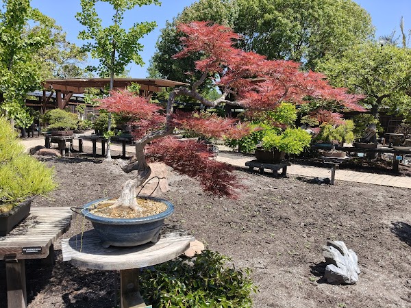 The Gardens at Lake Merritt 3