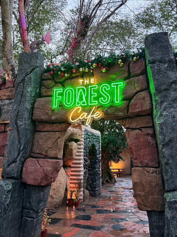 The Forest Cafe