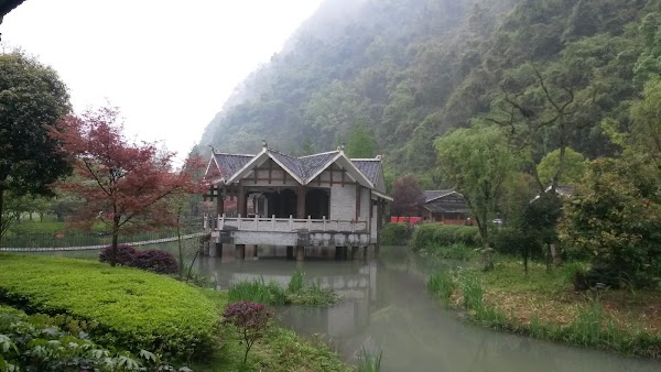 China 7