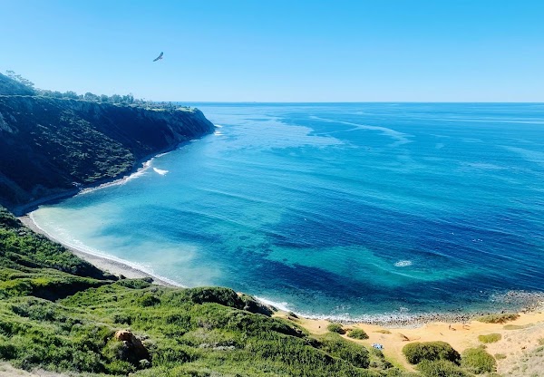Bluff Cove Lookout 1