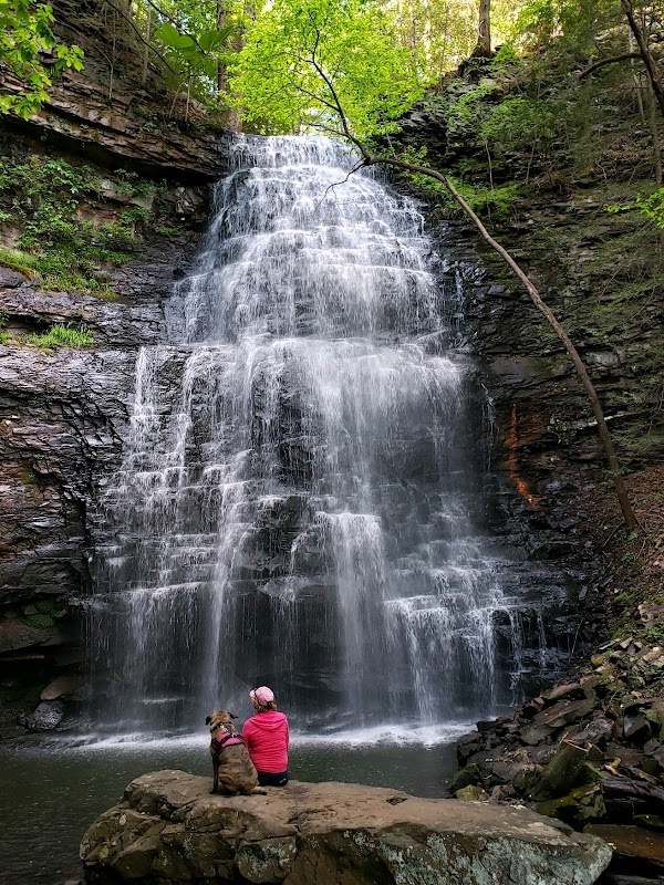 Hikes 49