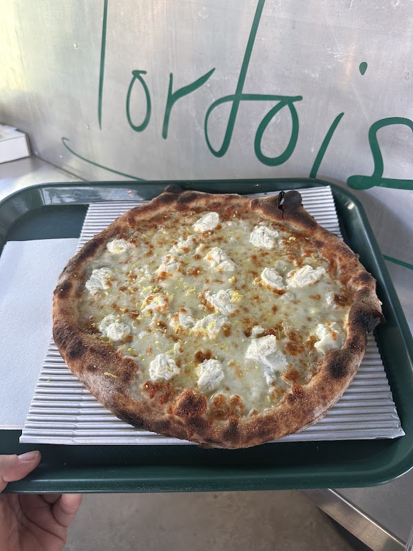 Tortoise Pizza 1