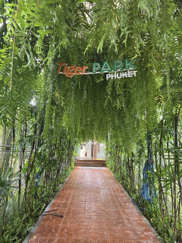 Tiger Park Phuket 3