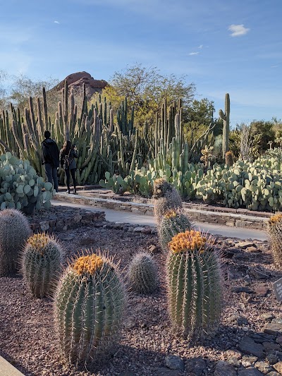 Desert Botanical Garden