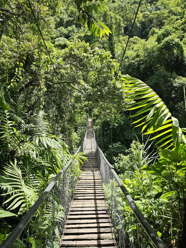 Atitlán Natural Reserve 5