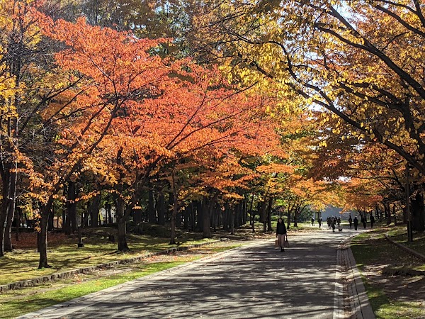 Nakajimakoen 3