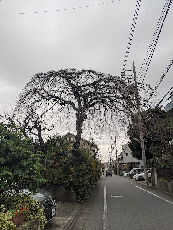 Kokubunji 4