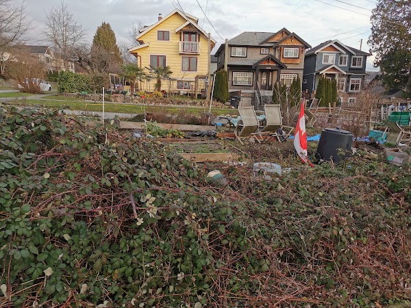 Arbutus Greenway 5