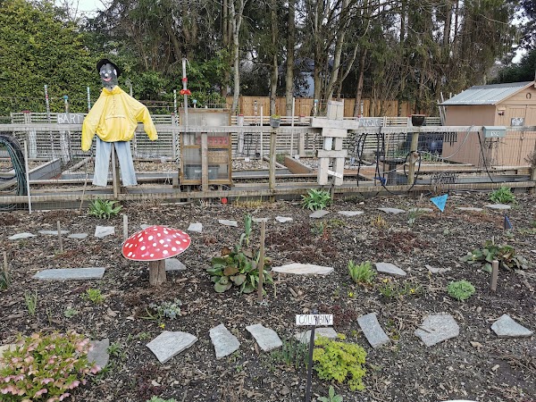 Arbutus Greenway 3