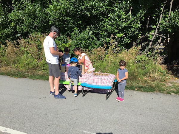 Arbutus Greenway 2
