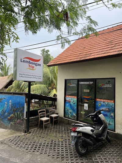 Lembongan Trip, Manta Ray Snorkeling, Penida day tour 2