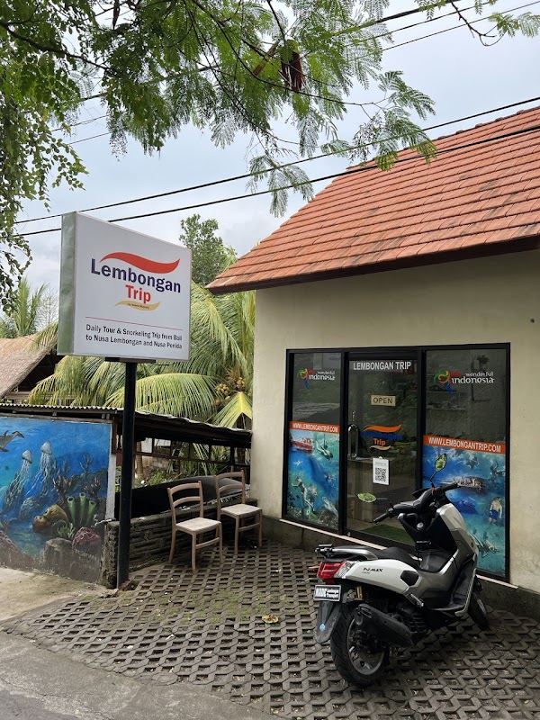 Lembongan Trip, Manta Ray Snorkeling, Penida day tour 1