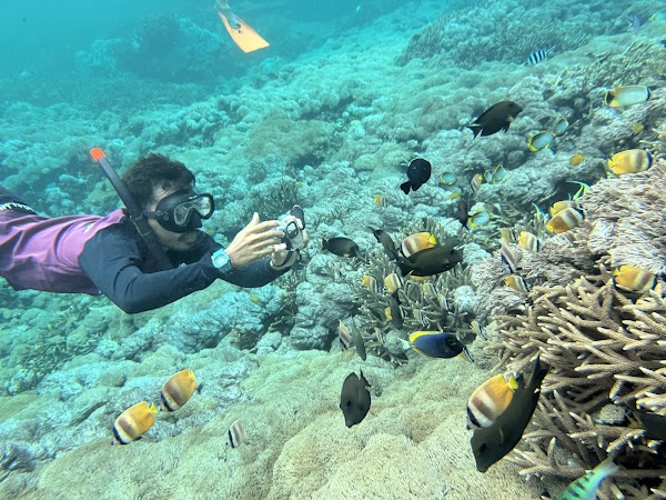 Lembongan Trip, Manta Ray Snorkeling, Penida day tour 5
