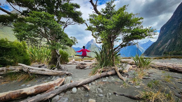 Milford Sound Swing