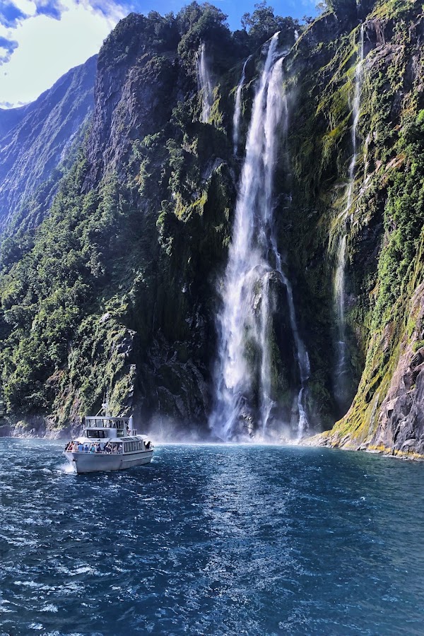 Milford Sound Swing 4