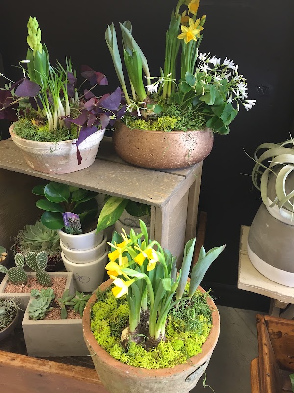 Sunday Blooms 3