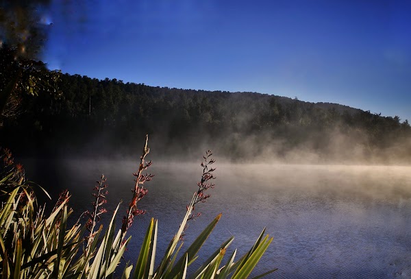 Lake Matheson 4
